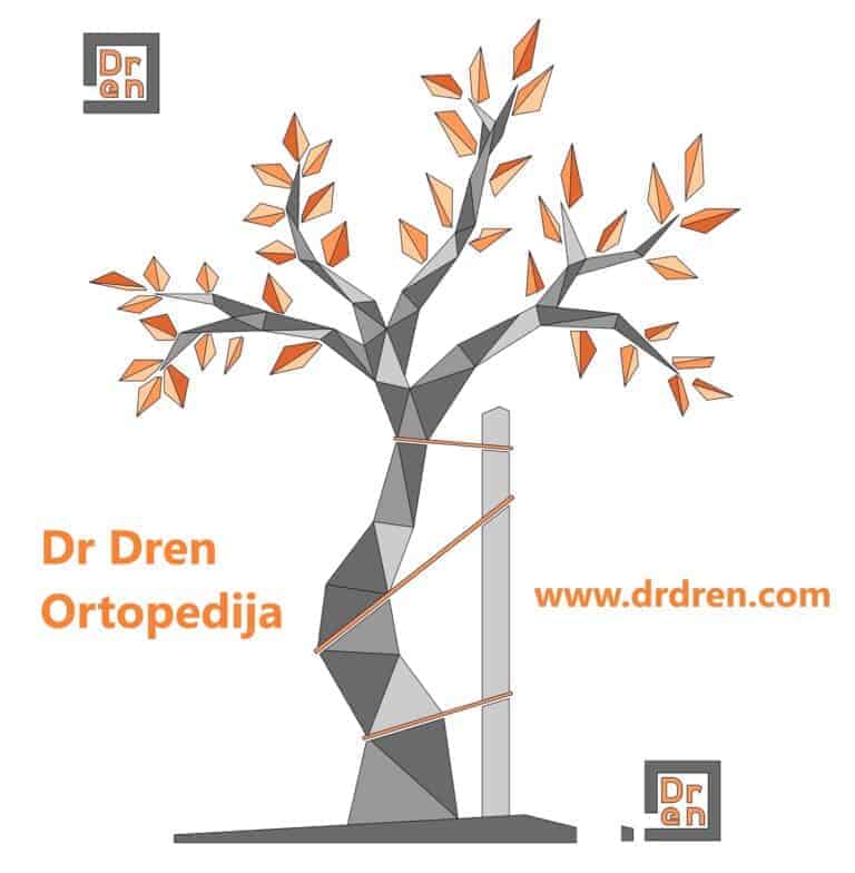 dr dren ortopedija