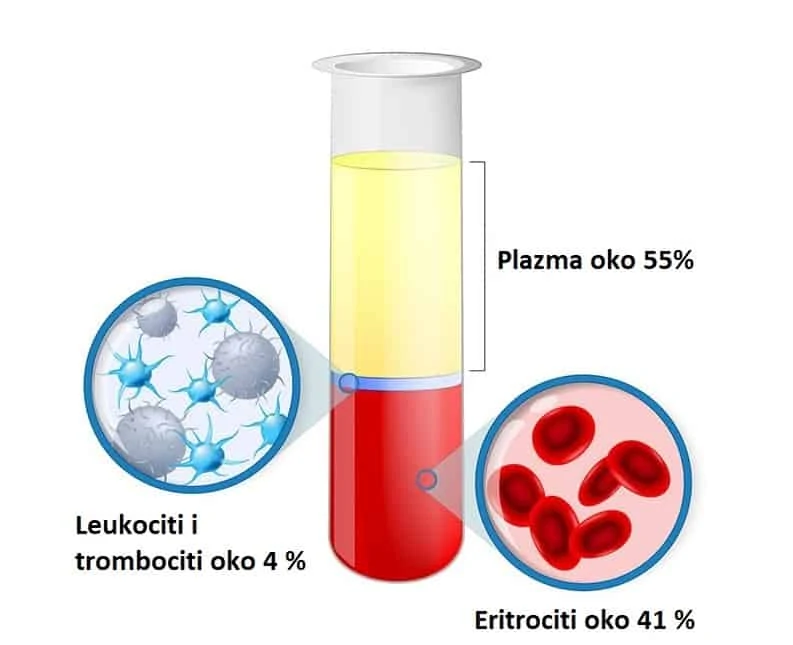 Prikaz PRP plazme i koncentracije trombocita